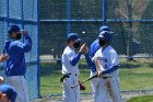 Baseball vs WPI  Wheaton College baseball vs Worcester Polytechnic Institute. - (Photo by Keith Nordstrom) : Wheaton, baseball